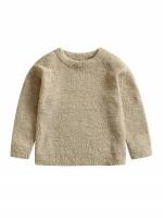 Round Neck Regular Long Sleeve Regular Fit Toddler Girls Clothing 8709