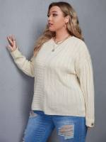 Plain Round Neck Long Sleeve Regular Plus Size Knitwear 471