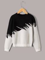 Crop Regular Fit Colorblock Boys Sweaters 121