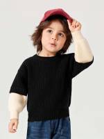 Colorblock Casual Regular Toddler Boys Knitwear 916