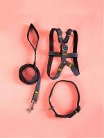  Plain Black Pet Collars, Leashes  Harnesses 920