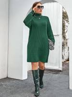  High Neck Casual Regular Fit Plus Size Sweater Dresses 603