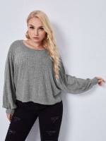 Rib-Knit Regular Black Long Sleeve Women Plus Clothing 4434