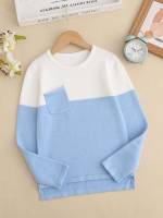 Round Neck Regular Casual Girls Sweaters 5383