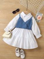 Ruffle Long Sleeve Blue and White Colorblock Toddler Girls Clothing 940