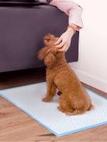   Pet Cleaning Accessories 1