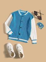  Casual Colorblock Regular Toddler Boy Cardigans 4560