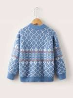  Casual Long Sleeve Regular Boys Sweaters 7369