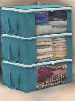   Blue Storage  Organization 4210