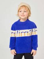  Casual Blue Long Sleeve Toddler Boys Knitwear 991