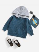 Regular Fit Casual Hooded Regular Toddler Boys Clothing 486