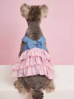   Pet Clothing 243