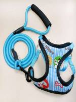   Pet Collars, Leashes  Harnesses 2886