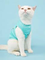   Pet Clothing 2982