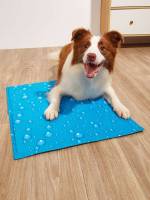   Blue Pet Bed  Crate Mat 1512