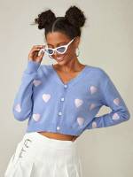 Long Sleeve Crop Casual Blue Women Knitwear 2695