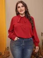  Plain Elegant Plus Size Tops 263