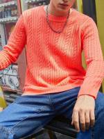 Long Sleeve Preppy Burnt Orange Regular Fit Men Knitwear 7486