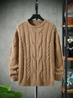  Casual Regular Fit Camel Men Knitwear 8770