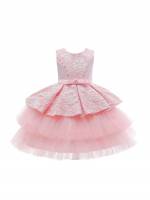 Champagne Floral Midi Embroidery Girls Partywear 3212