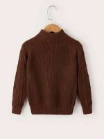 Casual High Neck Chocolate Brown Toddler Boys Knitwear 3540