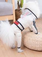 Clear  Pet Clothing 347