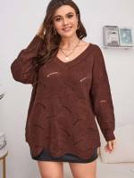V neck Regular Fit Coffee Brown Long Plus Size Sweaters 8221