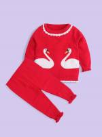 Regular Fit  Coral Pink Baby Knitwear 7666