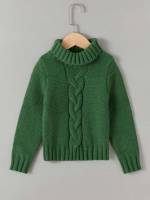 Regular High Neck Long Sleeve Toddler Boys Knitwear 3737