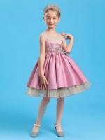 Contrast Mesh Regular Fit Floral Dusty Pink Girls Partywear 7203