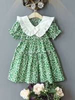  Ruffle Short Sleeve Peter Pan Collar Toddler Girl Dresses 478