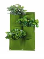   Green Home  Living 4320