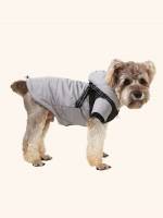  Colorblock  Pet Coats  Jackets 2098