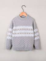 Stand Collar Long Sleeve Light Grey Boys Clothing 9276