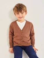 Light Grey Button Front Long Sleeve V neck Toddler Boys Knitwear 350