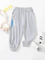 Light Grey Long Toddler Boys Bottoms 8304