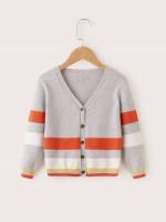  Light Grey Long Sleeve V neck Toddler Boys Knitwear 278