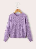 Regular  Round Neck Girls Knitwear 8116