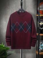 Long Sleeve Geometric Casual Round Neck Men Knitwear 5503