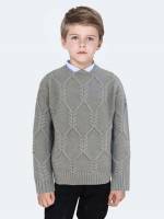  Regular Fit Mauve Purple Long Sleeve Boys Clothing 1514