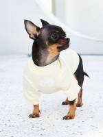   Pet Clothing 8967