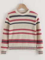  Casual Long Sleeve Round Neck Boys Sweaters 5348