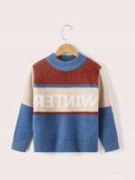 Stand Collar Casual Long Sleeve Letter Boys Sweaters 4425