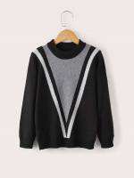 Long Sleeve Chevron Regular Boys Sweaters 4757