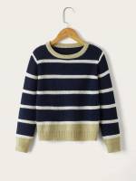 Casual Long Sleeve Regular Striped Boys Sweaters 5332