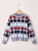 Multicolor Long Sleeve Geometric Regular Boys Sweaters 69