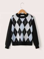 Round Neck Regular Fit Preppy Boys Sweaters 5588