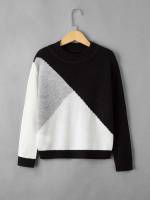 Regular Casual Colorblock Boys Sweaters 6959