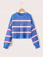  Multicolor Regular Fit Girls Sweaters 4648