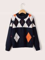  Regular Multicolor Boys Knitwear 7194